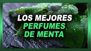 🚀PERFUMES con la nota de MENTA para HOMBRE