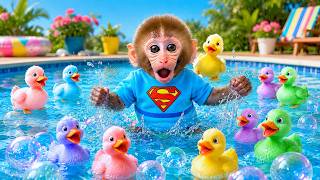Bon Bon the monkey is in the pond rescuing colorful ducklings trapped at the bottom