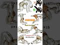 👻 kegel exercise 🍌 for men pelvic floor muscles #shorts #trending #gymlife #absworkout #shortvideo