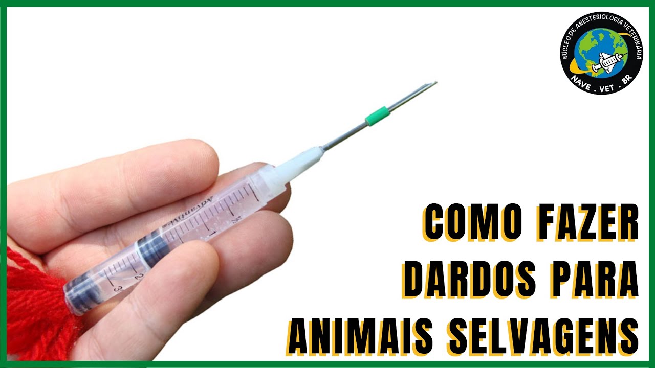 💉 Como fazer DARDO E ZARABATANA PARA ANIMAIS SELVAGENS 🐯