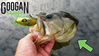 Fishing With GOOGAN SQUAD Filthy Frog for BIG BASS - FROG REVIEW 2021 