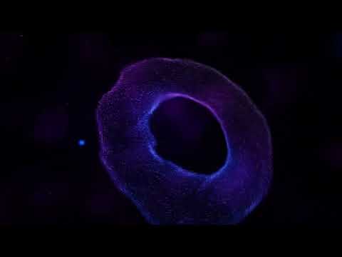 1 Million Particle Animation with Creative Coding - WEBGPU and Threejs😍