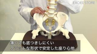 エクスジェル アウル円座