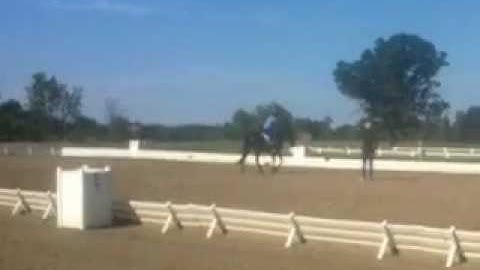 dressage lessons 4 loop serpentine