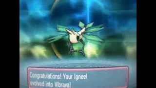 Pokemon Omega Ruby And Alpha Sapphire Trapinch evolve into Vibrava