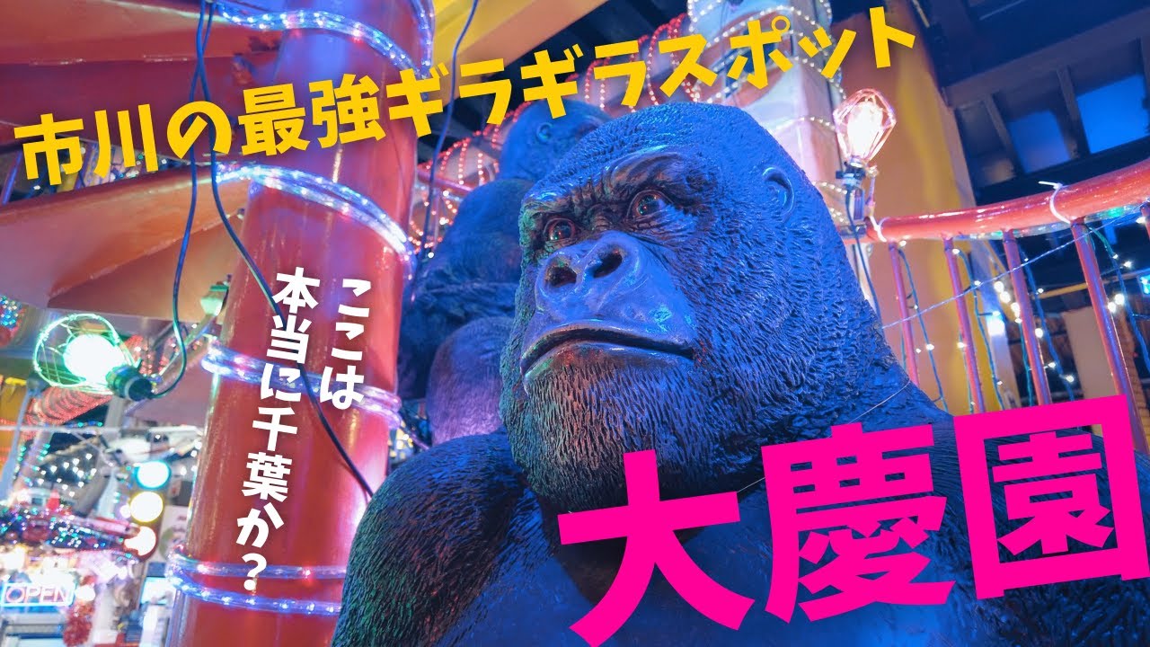 【映えスポット】千葉で最強のギラギラ遊園地『大慶園』