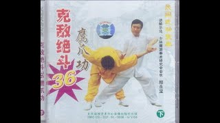 Application of 36 techniques of the Shaolin eagle style. Yīng Zhuǎ Pài (Part 2)