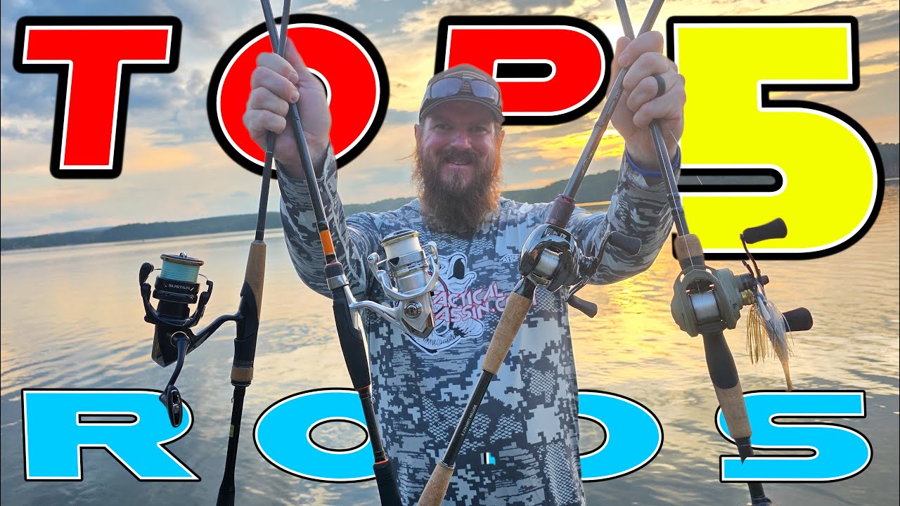 Top 5 Fishing Rods Every Anglers Should Have (Beginner To Advanced)