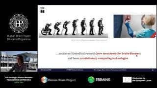 Silvia Tolu - The Strategic Alliance between Neuroscience and Robotics