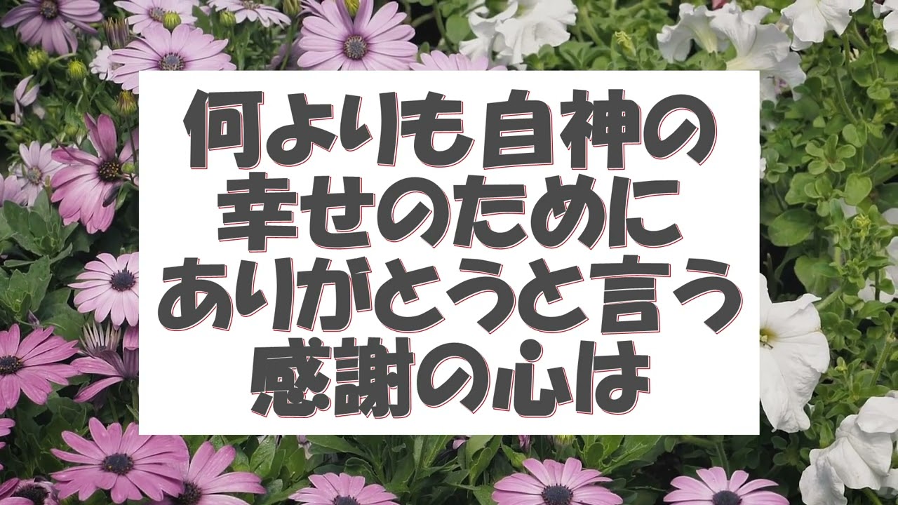 神様の恩寵