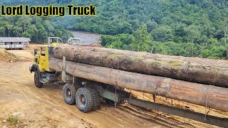 Logging Truck Tua VS Logging Truck Muda!!!