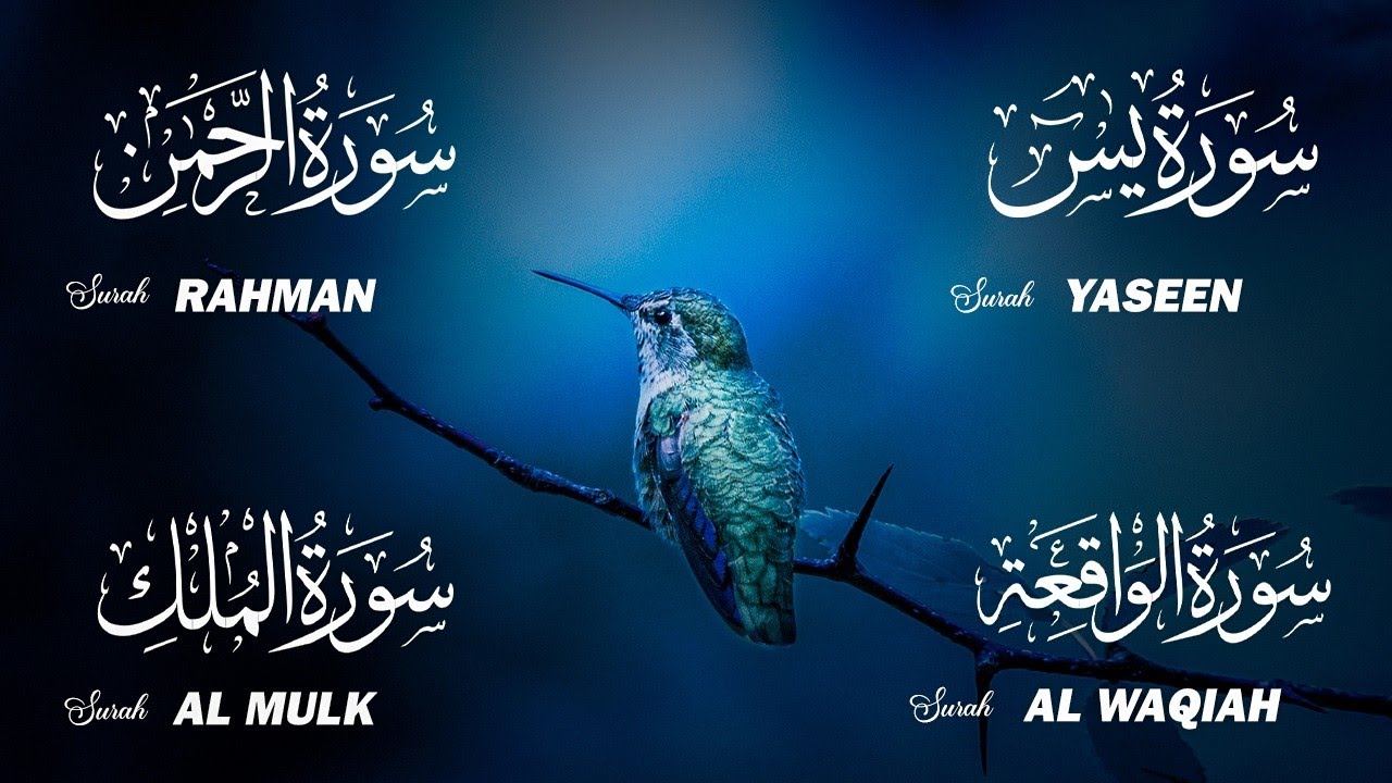 Surah Yasin • Rahman • Waqiah • Mulk | Find Peace Allah’s Mercy Protection, and Guidance | Alla Aqel