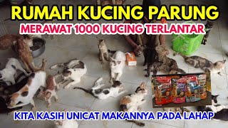 EMAK EMAK VIRAL MERAWAT 1000 KUCING TERLANTAR by Putra Fajar 88 685 views 1 month ago 38 minutes