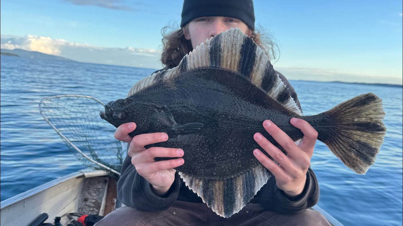 Species Hunt Episode 1- Starry Flounder