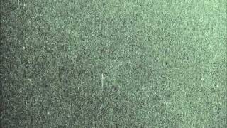 20100903 20100909 i