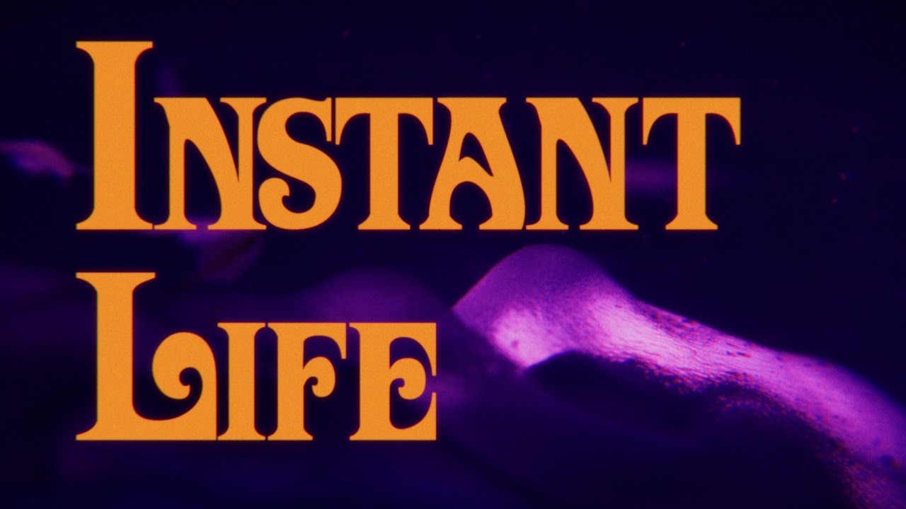 Instant Life