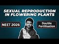 Sexual Reproduction in Flowering Plants Aarambh Batch NEET 2026 🔴 Biology Batch #neet paper leak