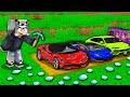 Minecraft AMA Arabaları Kırdım