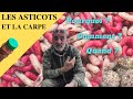 Pensez aux asticots !