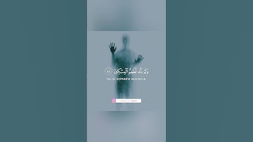 الآية مرعبة شريف مصطفى حالات واتس اب دينية قصيرة مؤثرة قرآن كريم تلاوة خاشعة انستا وفيسبوك و تويتر