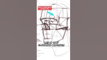 Drawing Features of the Face ✍️