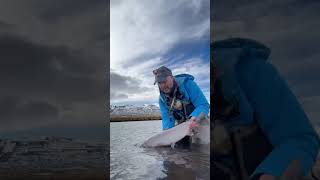 Fly Fishing Remote Iceland