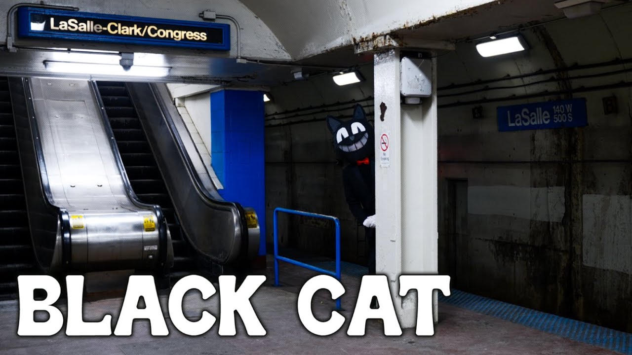Watch Jenny Scara - Black Cat (Official Music Video) on YouTube Watch Jenny Scara - Black Cat (Official Music Video) on YouTube