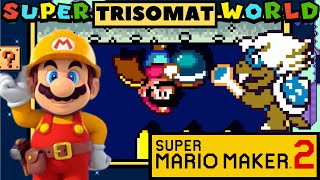 SUPER MARIO MAKER 2: Super Trisomat World #7