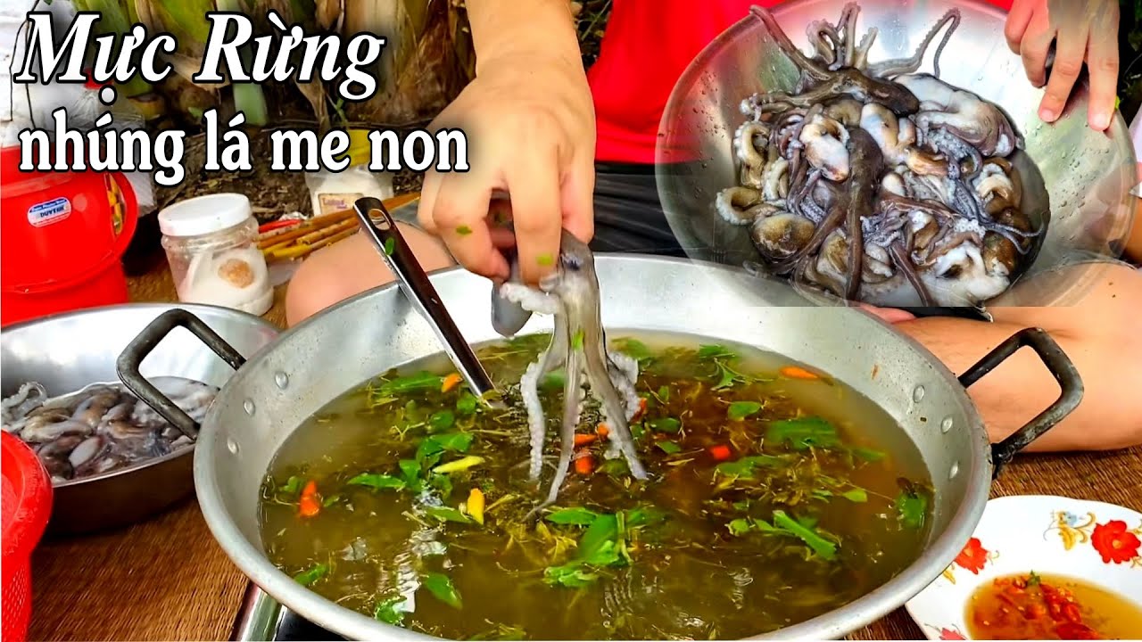 Series MÙA DỊCH - Tập11: Mực Rừng Nhúng Lá Me Non|MINH CẢNH VLOG - YouTube