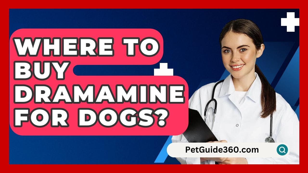 Where To Buy Dramamine For Dogs? - PetGuide360.com