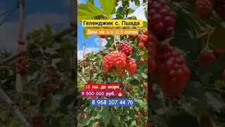 земля в Геленджике #землявгеленджике #недвижимостьгеленджика