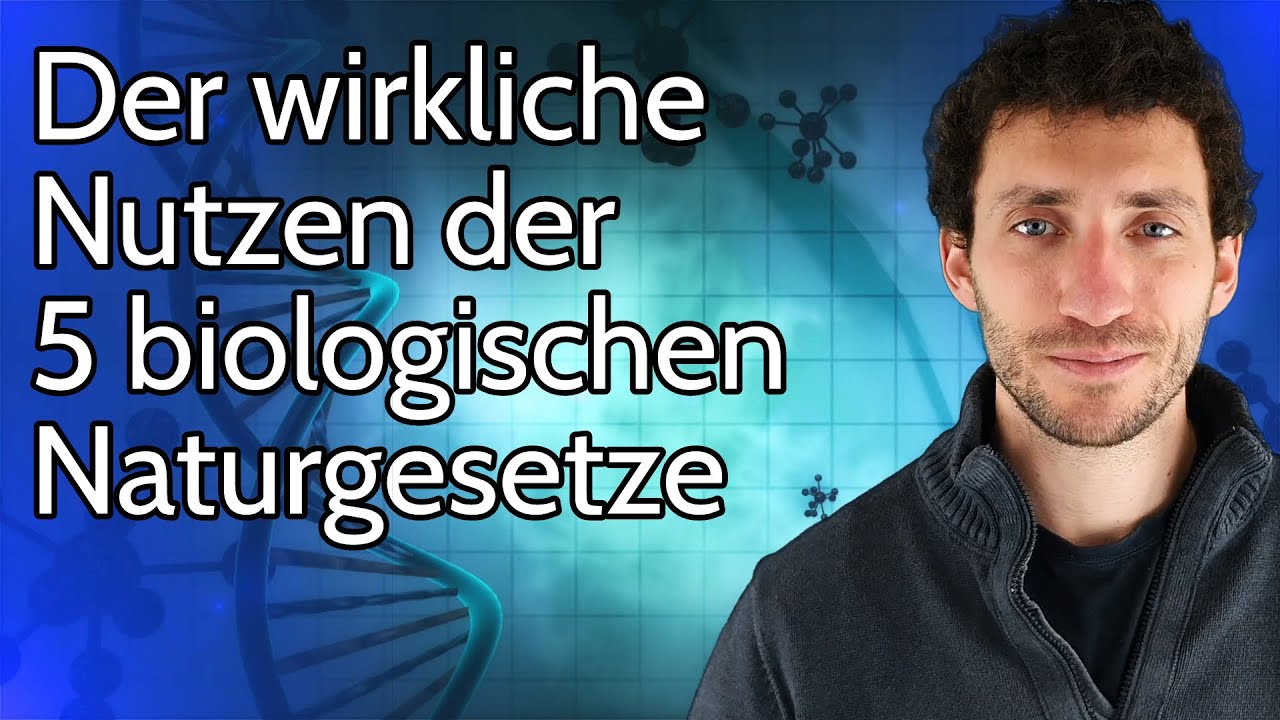 Die Universalbiologie 5Bn | Die 5Bn Kurz Erklärt – ZCAJYJ