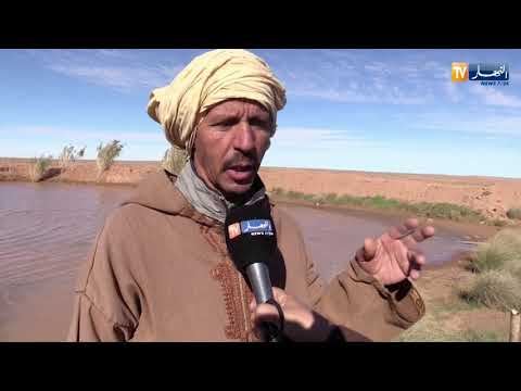 البيض فلاح يبادر ببناء سد صغير لسقي مزروعاته ببوقطب