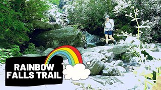 RAINBOW FALLS TRAIL in The Great Smoky Mountains National Park. Best Hike in the Smoky Mountains Update