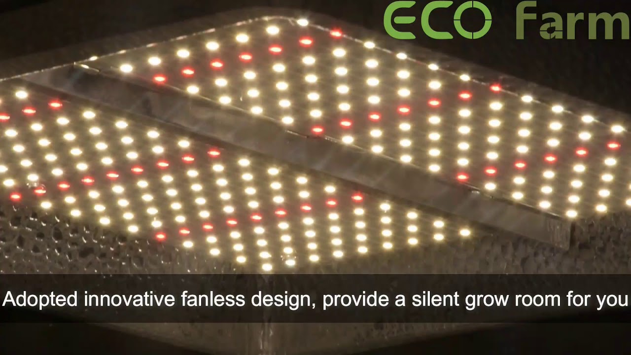 ECO Farm Full Spectrum 150W Quantum Board