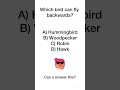 #quiztime #quiz #gkquiz #braintest #trivia #mindbendingquiz #shorts #youtubeshorts