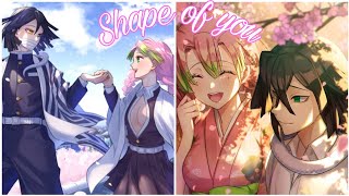 Demon Slayer - Mitsuri X Obanai Singing Shape Of You Switching Vocals