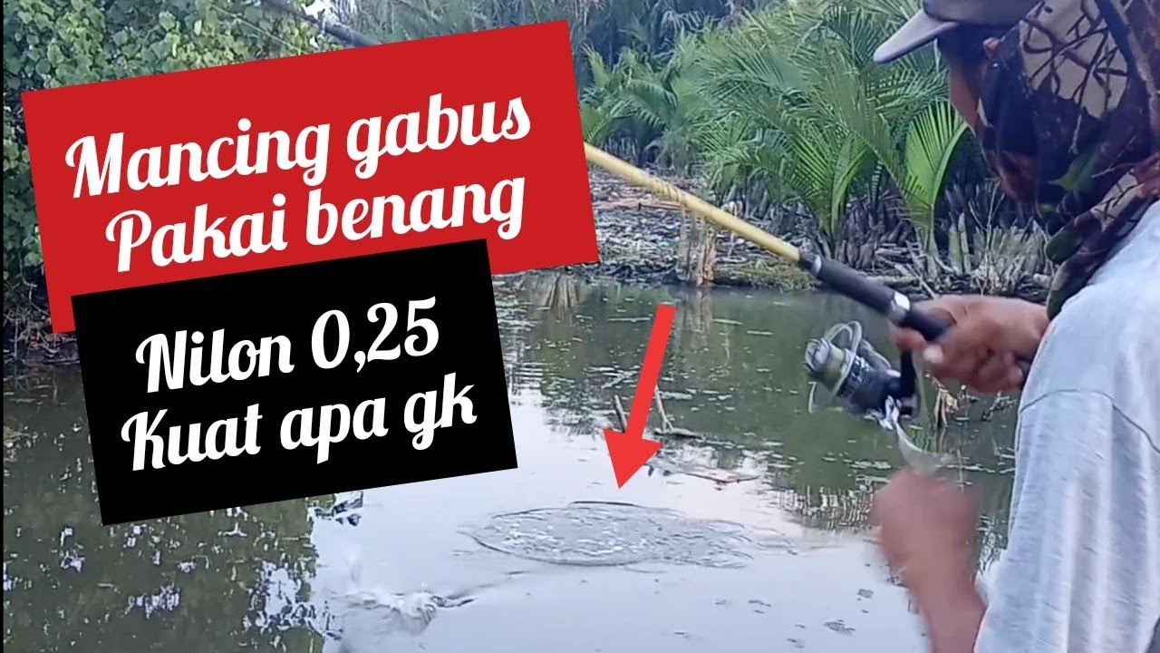 casting gabus pakai senar pancing (nilon) 0,25 kuat apa gk