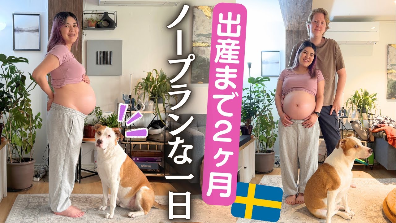 maxresdefault.jpg