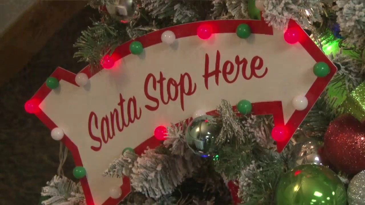 CMNtv News - Rochester Festival of Trees - November 17, 2017