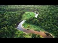 Amazon Rainforest | Mapapo A Dziko