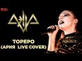 Аэлла - Тореро (Ария cover) - LIVE 21.01.2017 Multicam