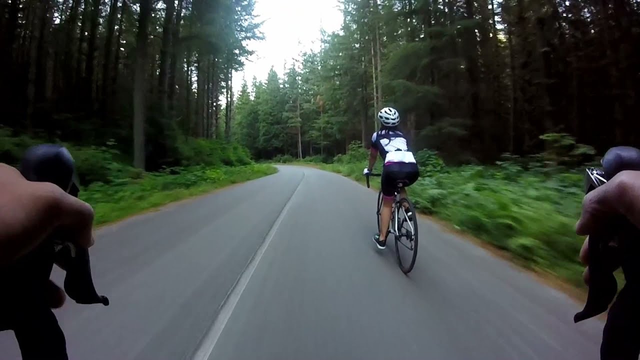 A taste of Seymour Dam Trail   Lynn Valley, North Vancouver