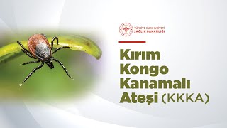 Kene ve KKKA Hakkında Bilmeniz Gerekenler