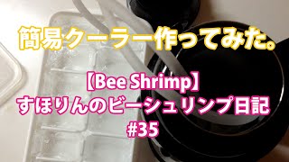 夏対策その アクアリウム簡易クーラー作ってみたよ ビーシュリンプ水槽 Youtube