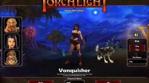 torchlight #1 walkthrough (very hard)