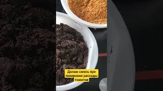 Делаю грунт для пикировке рассады томатов. #рассада #дача #почвосмесь #томаты #грунт