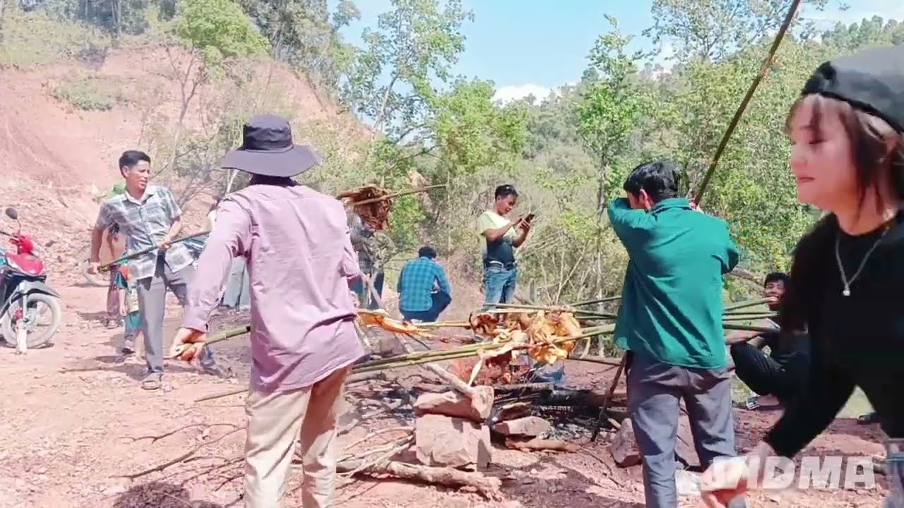 mus ci qaib noj xaus txiab 30 