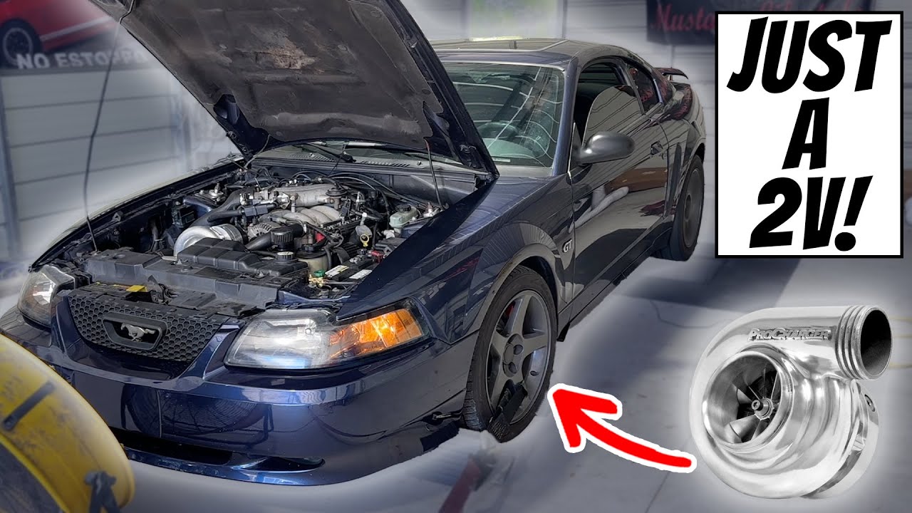 We Dyno'd a PROCHARGED BULLITT! (Bone Stock 2V!)