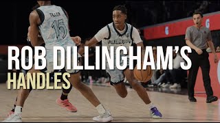 Dissecting Rob Dillingham's Handles!